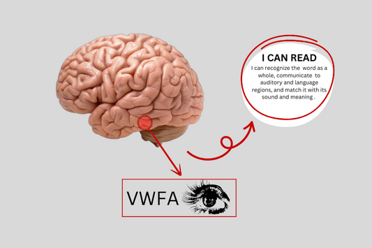 The Brain’s Visual Word Form Area (VWFA): A Region Dedicated to Recognizing Written Words