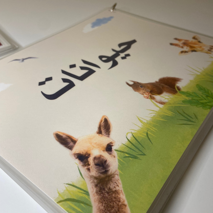 (Pre Order 3 weeks ) Arabic Flashcards