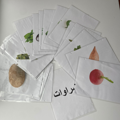 (Pre Order 5 weeks ) Arabic Flashcards